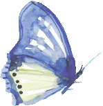 İpek Semerci Dalkıran